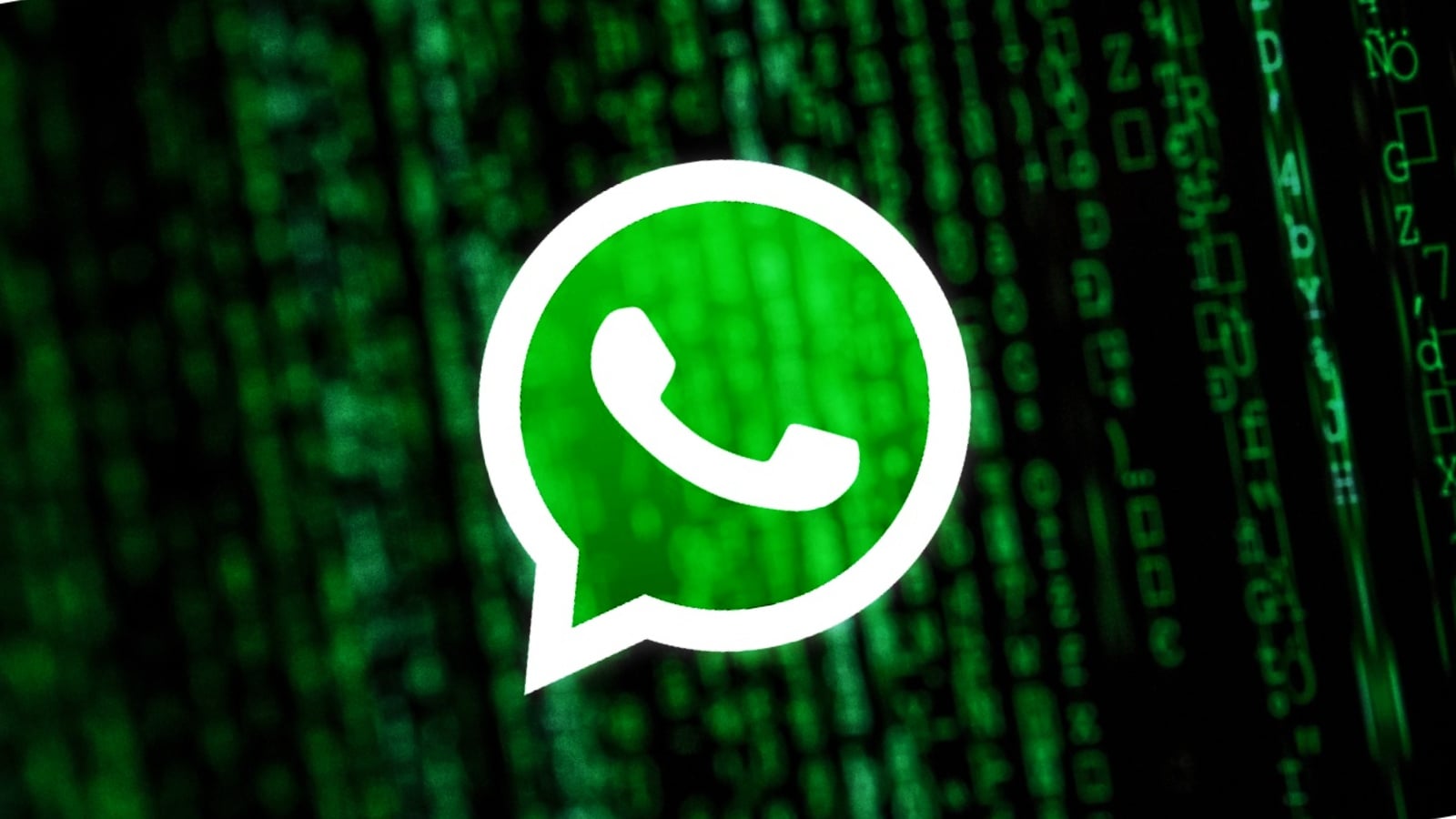 WhatsApp Malicious npm package steals WhatsApp accounts and messages