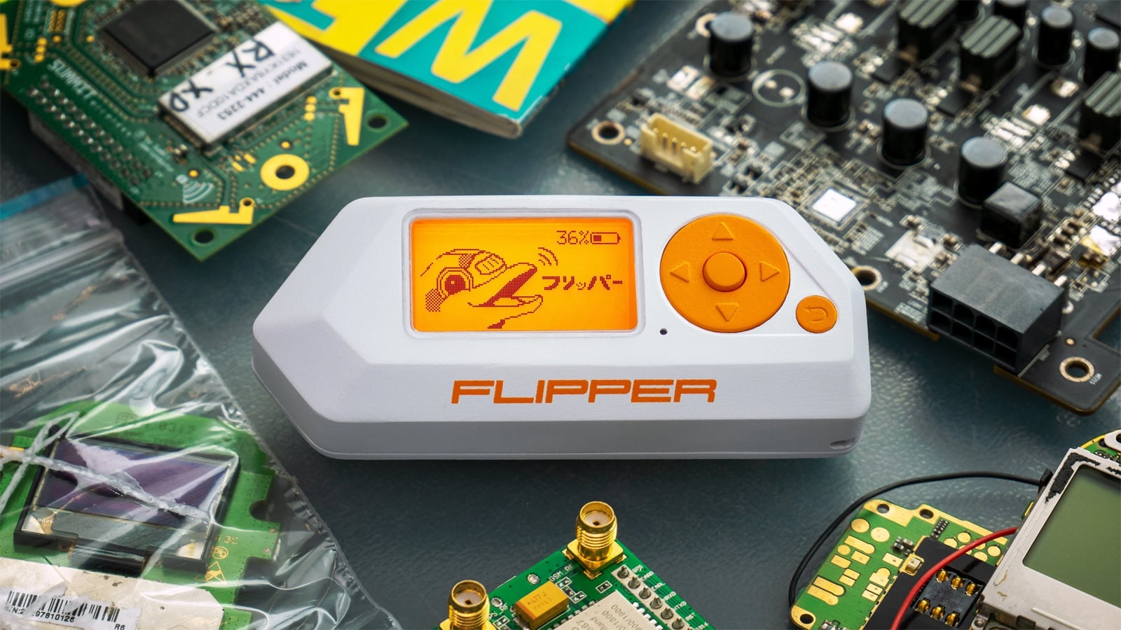 flipper-zero Flipper Zero Raspberry PI